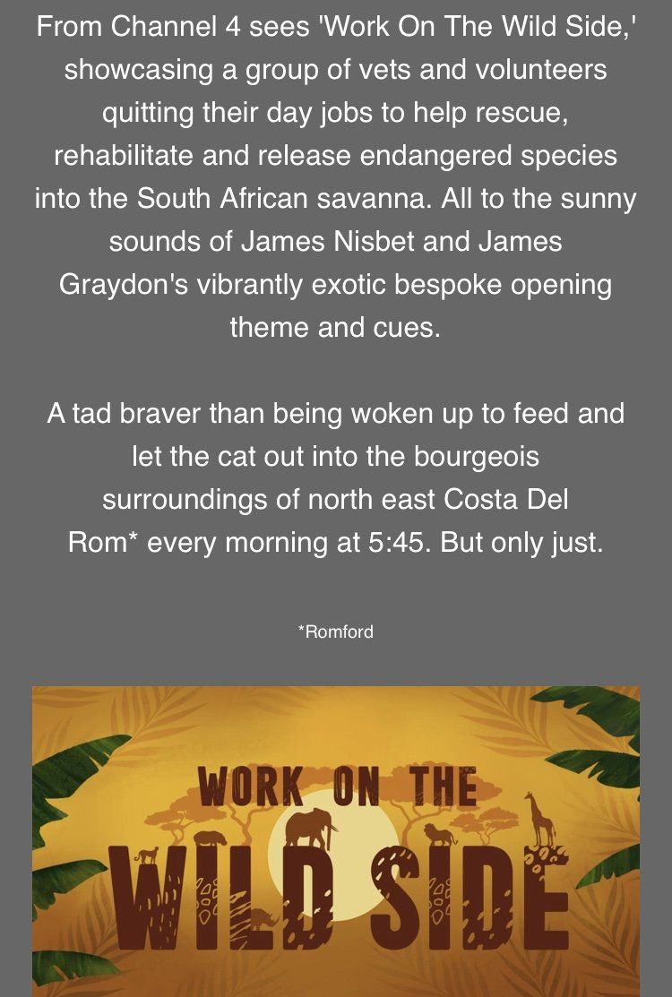 Work on the wild side
